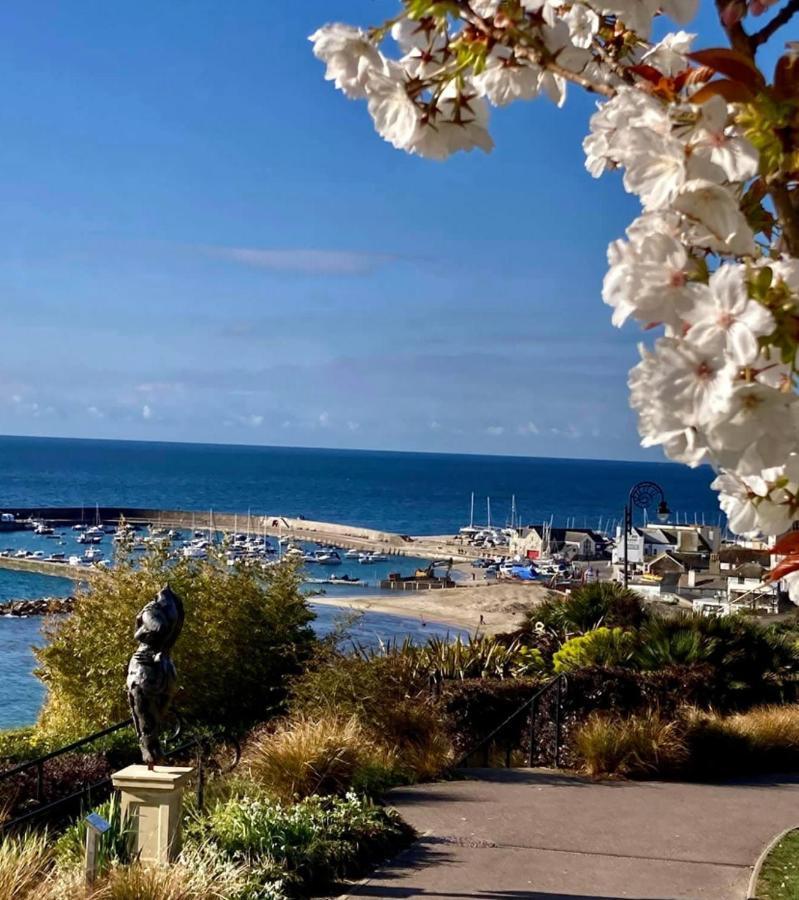 Fantastic Spacious House With Beautiful Panoramic Views Of The Bay Only A Few Minutes Walk From Beach Harbour And Restaurants This House Has 3 Bedrooms 3 Bathrooms And 2 Lovely Sitting Rooms Lyme Regis Exterior foto
